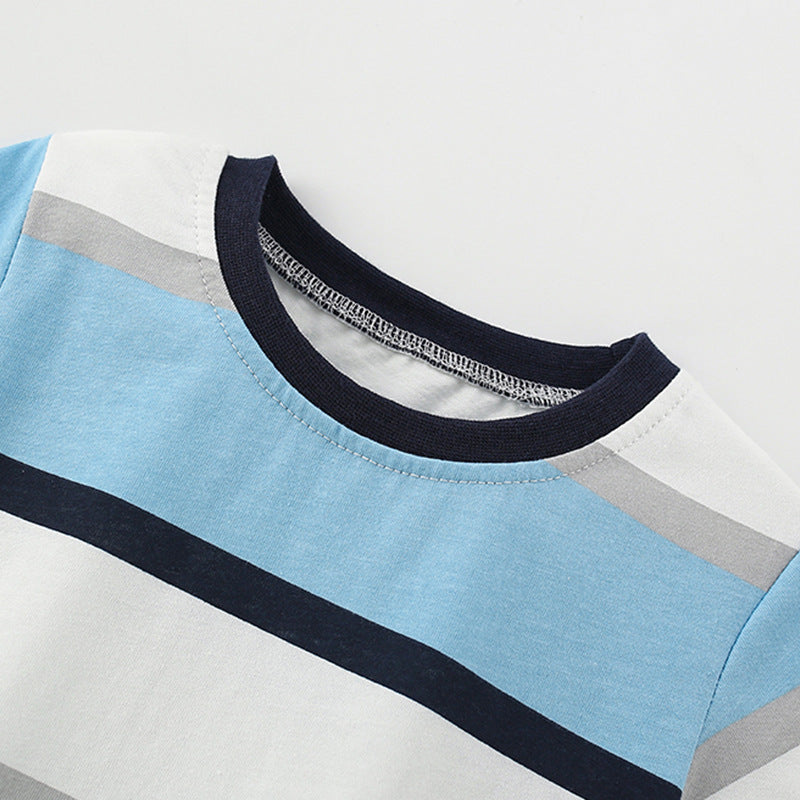11363058