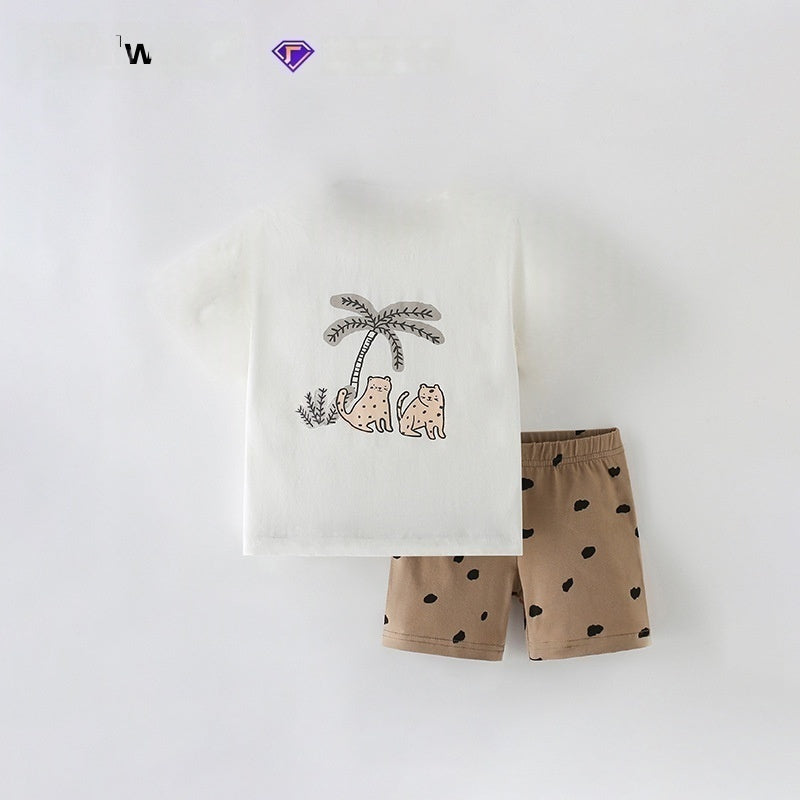 11363277