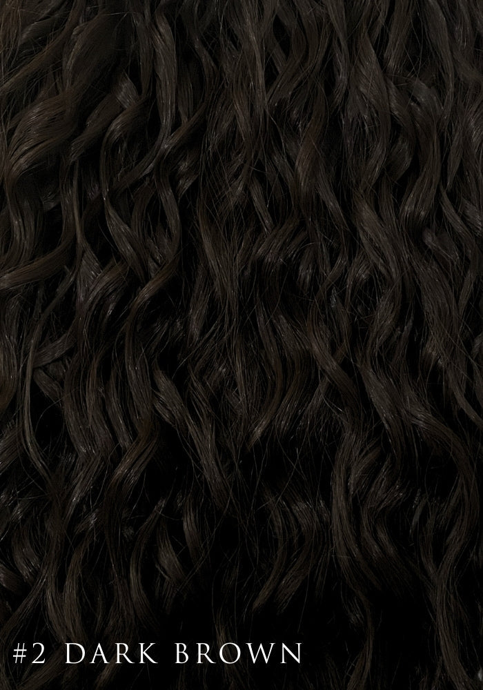 Curly Synthetic Hair Extensions | 9 Piece Clip-In 22inches