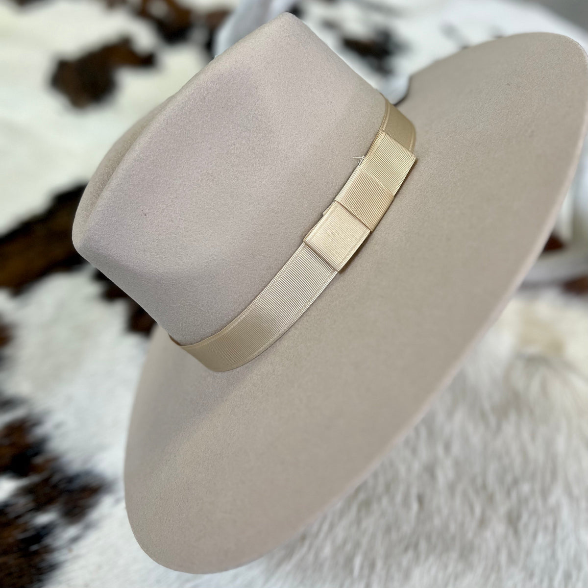 Silver Belly Tip Your Hat