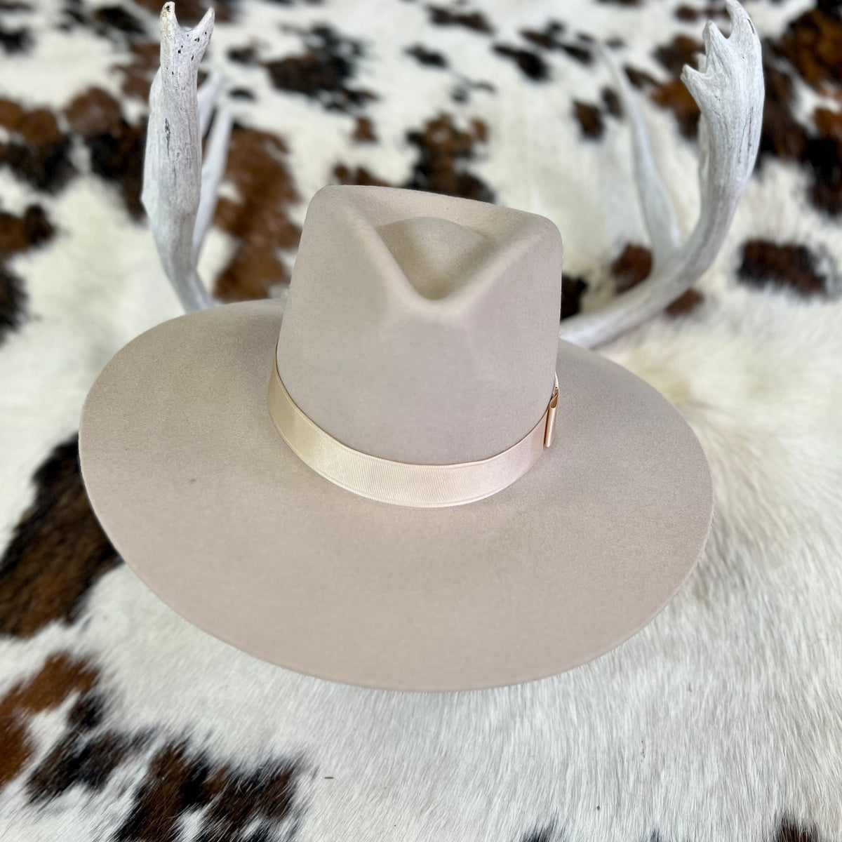 Silver Belly Tip Your Hat