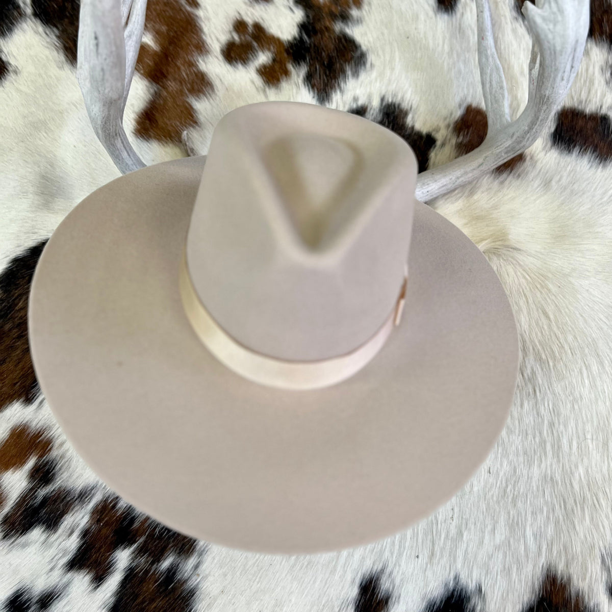 Silver Belly Tip Your Hat